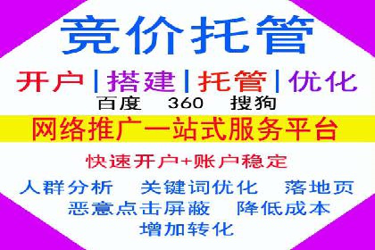 SEM推广优化实战：案例分析与启示