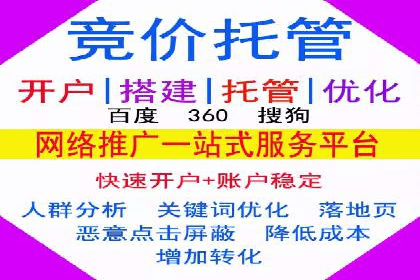 SEM服务公司成功案例解读